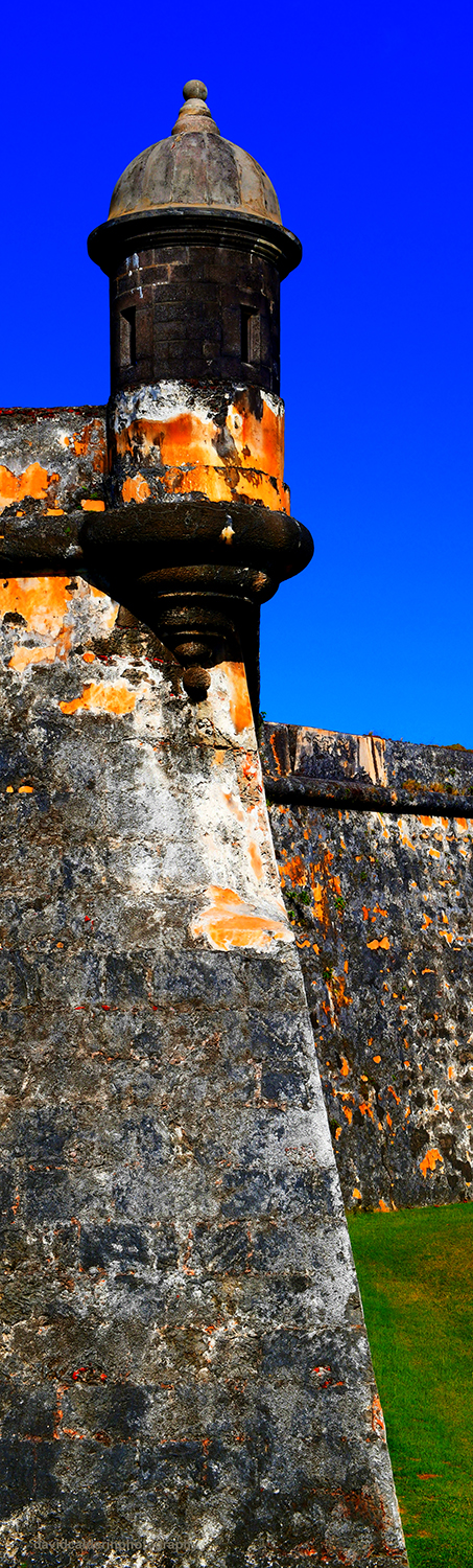 Photography gallery image
