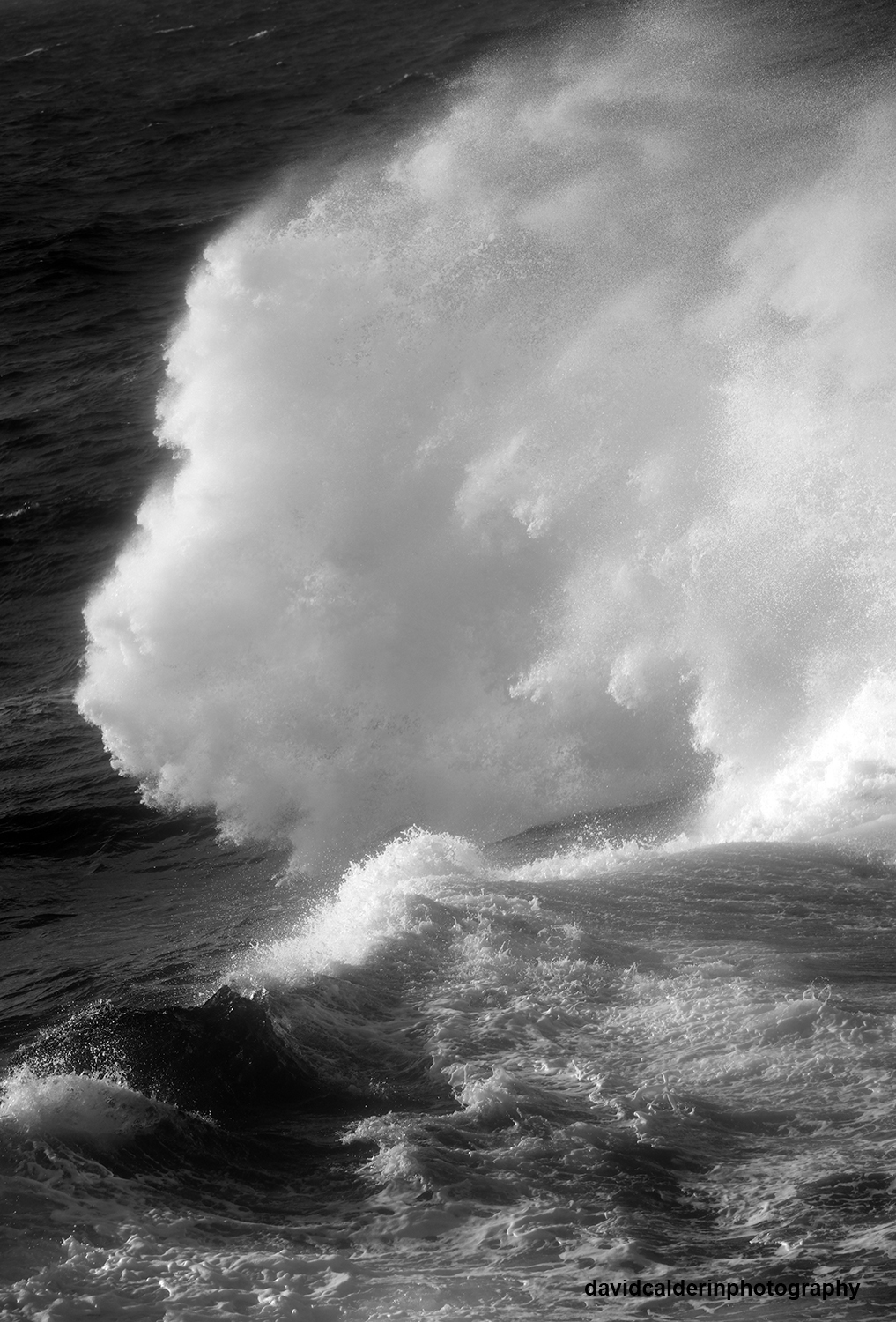 Photography gallery image